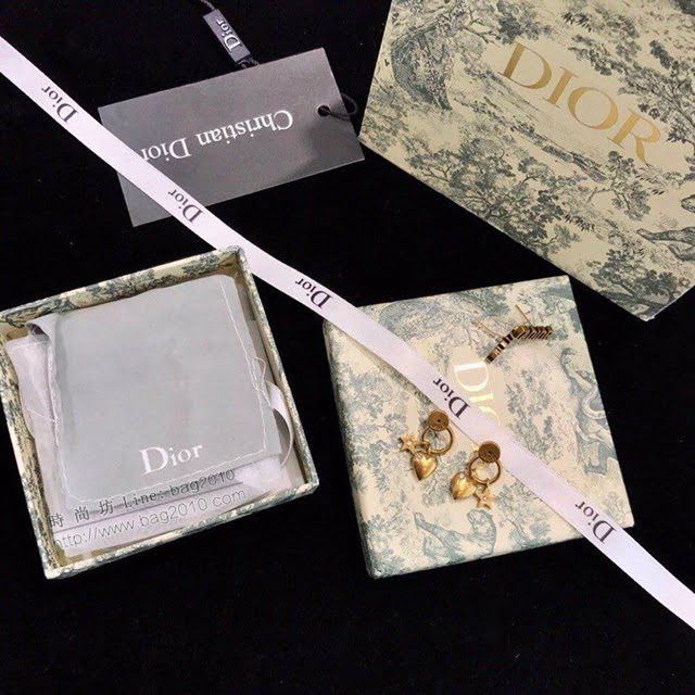Dior飾品 迪奧經典熱銷款耳環 明星紅人同款Dior迪奧耳釘  zgd1174